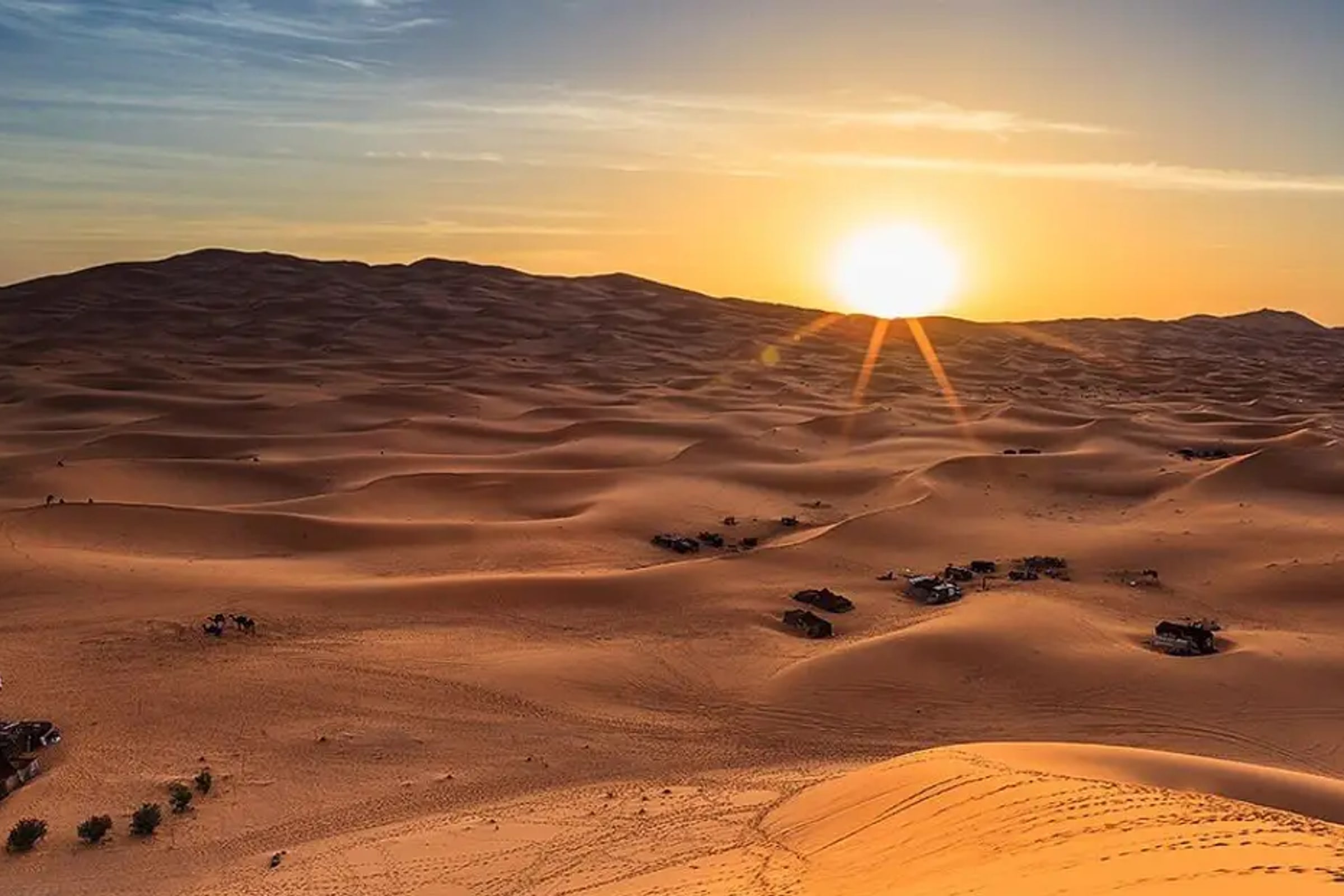 Evening Desert Safari Experience from Abu Dhabi